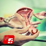 GYNAECOLOGY