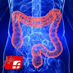 COLORECTAL ANATOMY